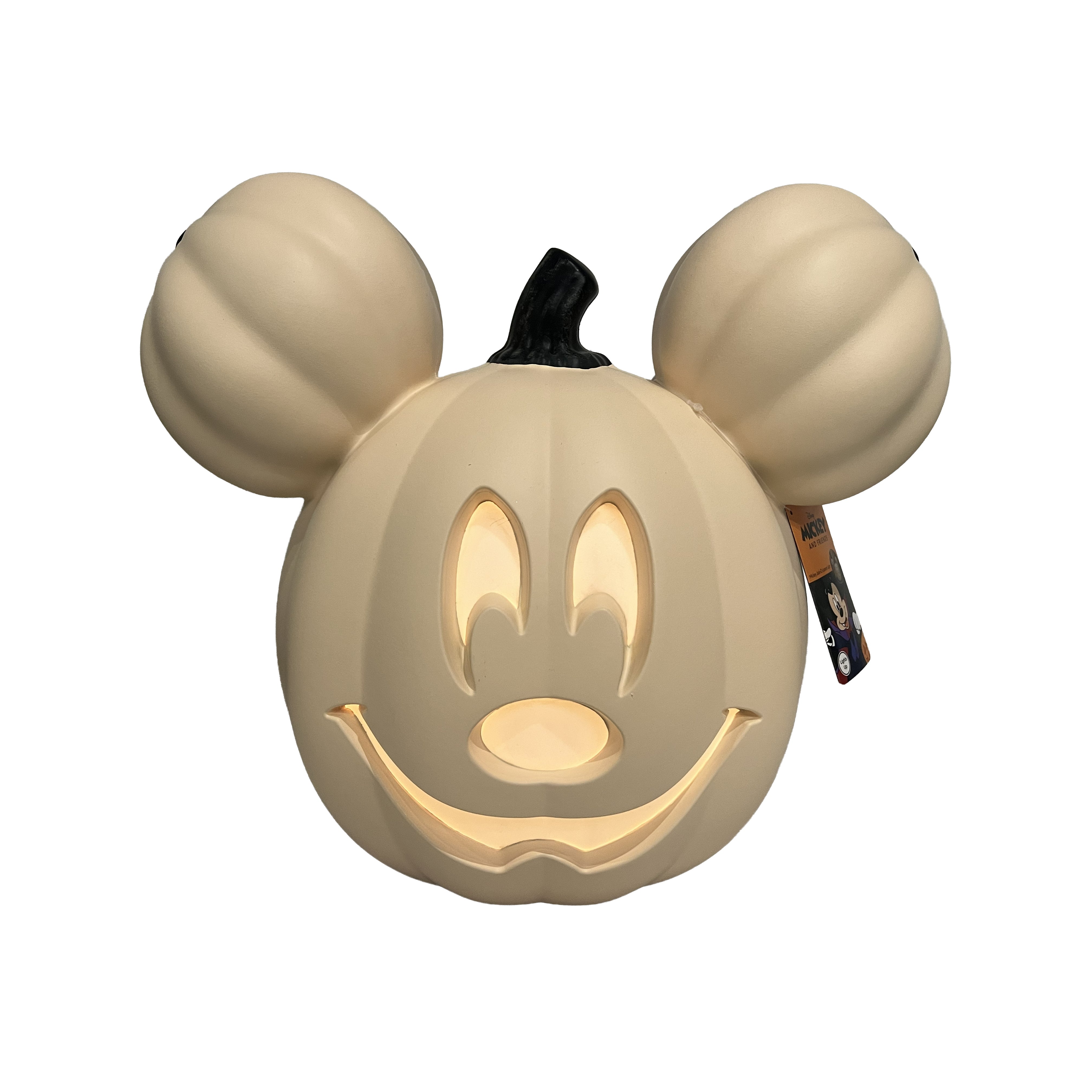 Disney 14